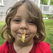 Recommendations for contractor and handyman services