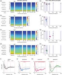 This tool is especially useful when starting a new business or entering a. Place Cell Firing Cannot Support Navigation Without Intact Septal Circuits Bolding 2020 Hippocampus Wiley Online Library