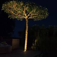 led grondspot berlijn rvs rond 1810l wellicht buitenverlichting tuin tuin ideeen boom verlichting