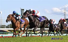 第4回 配信者麻雀最強座決定戦 2021年 4月16日 24時 開催 大会を記念して予想大会を実施。 çšæœˆè³ž æ˜¥ã®g1äºˆæƒ³3é€£å‹ä¸­ çµ¶å¥½èª¿ã®ã‚¢ãƒ³ã‚«ãƒ„ãŒç‹™ã†æœ¬å'½ ç©´é¦¬ã¯ã‚³ãƒ¬ã  ç«¶é¦¬ãƒ‹ãƒ¥ãƒ¼ã‚¹ ç«¶é¦¬ãƒ©ãƒœ