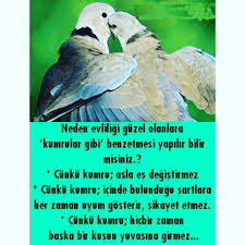 Kumru Gibi Olani Bulmak Marifet Guzel Soz Ozlu Sozler Psikoloji