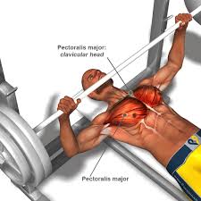 Bermain darts adalah cara yang menyenangkan untuk meluangkan waktu bersama teman baik atau orang yang baru dikenal. Gym Hot March 2011
