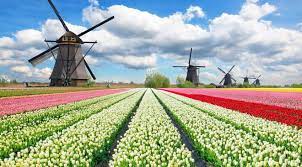 Aller vivre à l'étranger est toujours un challenge pour tous. Pays Bas A Voir Visiter Villes Tulipes Plages Climat Guide De Voyage Pays Bas Tourisme