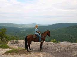 Campground East Fork Stables Horse Camp Horseback Riding Trail Riding