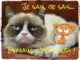 Je Sais Je Sais Demain C Est Lundi Demain C Est Lundi Lundi Amour Eternel