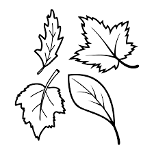 We must understand that fall is a law of nature. 9 Best Fall Leaves Worksheets Printables Printablee Com