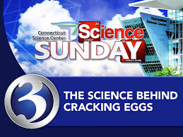 Agen biasanya bekerja sepenuhnya berdasarkan komisi. Science Sunday Science Behind Cracking An Egg Connecticut Science Center