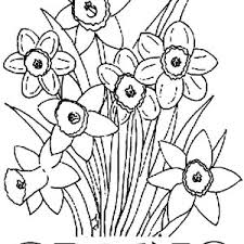 When you see them sprouting from the ground, you know spring is here. Beautiful Daffodil Flower Coloring Page Kids Play Color
