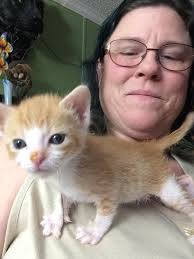 1 ﻿ provide blankets, a heat lamp, or a heating pad to ensure the kittens stay warm. Help I Found A Newborn Kitten Now What Pawmetto Lifeline