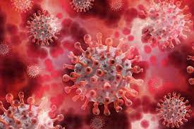 Bloomberg heard from six doctors across india to get an idea of the range of symptoms the india variant—also known as the delta variant—is causing. Covid 19 Uk Variant Spreading Faster But No Proof Of It Being More Dangerous Lancet Study The Financial Express