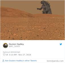 The best memes from instagram, facebook, vine, and twitter about mars landing. 40 Hilarious Reactions To Nasa S Insight S First Photos From Mars Bored Panda