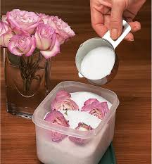 Maybe you would like to learn more about one of these? Flower Drying Silica Gel Crystals Lee Valley Tools