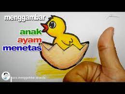 Anak ayam siap menetas dan mulai memecah kerabang telur. Cara Menggambar Anak Ayam Menetas Youtube