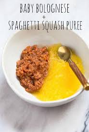 One Hour For One Month S Worth Of Homemade Baby Food 40 Stage 1 Recipes Pureed Food Recipes Meat Baby Food Baby Food Recipes