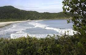 praia dos naufragados florianopolis veja dicas no ferias brasil ferias brasil brasil ferias