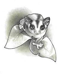 Glidergossip Tattoo Ideas Photo Dump Sugar Glider Sugar Glider Pet Sugar Glider Toys