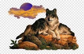 Gray wolf bad wolf nevada wolf pack balto ii wolf quest wolf pack lone wolf black wolf. Gray Wolf Animaatio Avatar Wolves Carnivoran Dog Like Mammal Dog Breed Png Pngwing