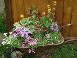 Wheelbarrow Garden Wheelbarrow Garden Wheelbarrow Planter Lawn And Garden