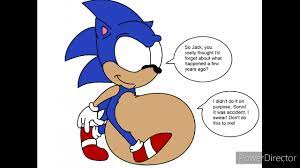 It's mostly about sonic and amy but a little about knuckles and rouge too. Sonic Pregnant Youtube