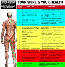 nerve chart kehoe chiropractic