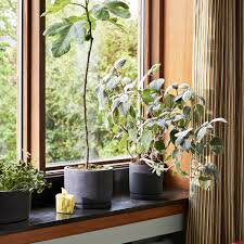 Pot de fleur en verre. Hay Pot De Fleurs Avec Sous Verre Cylindrique Connox