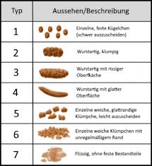 Hellbrauner stuhlgang hellbrauner stuhl as gaming stuhl test. Matschiger Stuhlgang