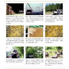 国産 蜂蜜 ナッツ漬け セット 高級 近藤養蜂場 瓶 長期保存 常温保存 アカシア 百花 アーモンド くるみ : 78518 : 暮らしの幸便 -  通販 - Yahoo!ショッピング