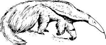 Baby giraffe coloring page | free printable coloring pages. Art Monochrome Photography Carnivoran Png Clipart Royalty Free Svg Png