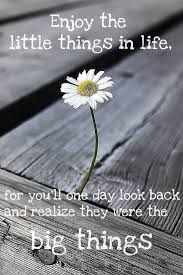 Enjoy The Little Things In Life For One Day You Ll Look Back And Realize They Were The Big Things Up Thearkglobalnetwork Com Inspirational Words Quotable Quotes Words Quotes