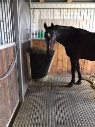Has a 24 hour perpetual timer that automatically dispenses from 1/2 to 4 lb per servings at times & frequency you choose every day without resetting. Diy Hay Feeder For The Stable A Sonovet Equine Therapy Facebook