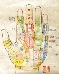 pin by allyson chong on health acupuncture acupoint naturopathy medicine health fitness accupuncture