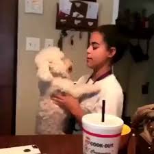 Pin By Katieann On Cute Video Cute Funny Animals Cute Baby Animals Cute Animals