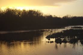 12 augustus 2020 linda 1 comment. Molsbroek Lokeren Zonsondergang Mapio Net