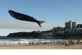 Just a whale kite.. | Funny Pictures, Quotes, Pics, Photos, Images ... via Relatably.com