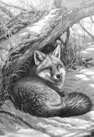 Een Projectjes Voor Http Kleurvitality Blogspot Be Scratchboard Art Grayscale Coloring Animal Drawings