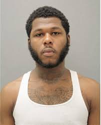 ᐅ Illinois Criminal Records 2009-2025