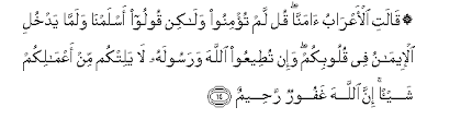 Surat al hujuraat ayat 12. Surah Al Hujurat Arabic Text With Urdu And English Translation