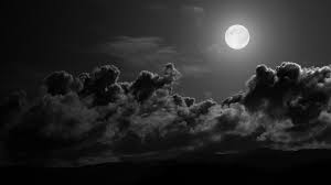 Check spelling or type a new query. Aesthetic Black White Wallpapers Wallpaper Cave
