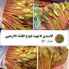 القات يعتبر مهيج للديدان البوسية حتى وان تم غسل القات. Https Www Facebook Com Ø£Ù„Ø§Ø³Ø¯ÙŠ Ù„Ø§Ø¬ÙˆØ¯ Ø§Ù†ÙˆØ§Ø¹ Ø§Ù„Ù‚Ø§Øª Ø§Ù„Ø§Ø±Ø­Ø¨ÙŠ Facebook