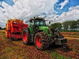 Crops, Plants, And More: Learn About Farming! | Fast Flower Delivery