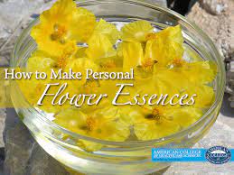 How to make flower essence spray. How To Make Personal Flower Essences Achs Edu