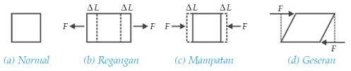 Contoh soal dan pembahasan tegangan regangan dan modulus young. Tegangan Regangan Dan Modulus Elastisitas