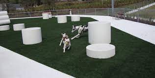 Whether installed in dog runs or larger areas, k9grass easily manages intense play from dogs seven days a week. Dog Parks Dog Runs K9grass By Foreverlawn