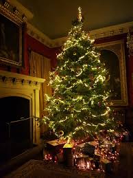 The boy scouts have a lot at the corner of cameron ave and mass ave in cambridge. Reader Recommends Best Places To Buy Your Christmas Tree Swindon Advertiser