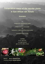 Image result for Tridactyle anthomaniaca