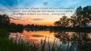 Awaken to a life of purpose and presence subscribe for free video teachings, live events, and more! Eckhart Tolle S Guide To Finding Peace Through Nature Huffpost Life