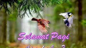 Detektif muda official 24 january 2019. Download Lagu Selamat Pagi Sayang Mp3 Video Gratis