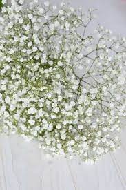 Einen blumenkranz kannst du ganz einfach selber basteln. Haarschmuck Selber Machen Welche Blumen Eignen Sich Fur Einen Haarkranz Blumigo