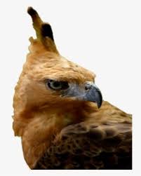 Contoh penerapan desain logo jawa tengah png transparan. Logo Provinsi Jawa Tengah Hd Png Download Transparent Png Image Pngitem