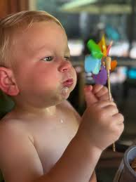 Proper sweet corn eating etiquette tips